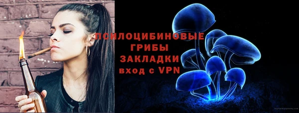2c-b Абдулино