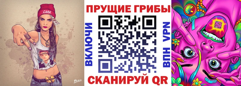 Псилоцибиновые грибы Cubensis  Энем 